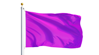Purple flag
